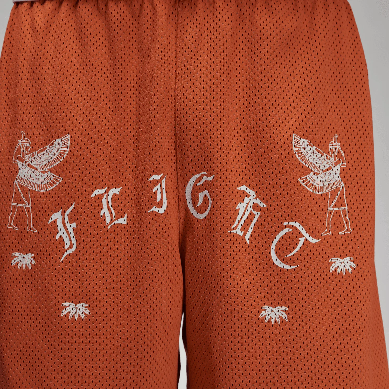 Air Jordan Artist Series Shorts 'Umar Rashid/Sienna'