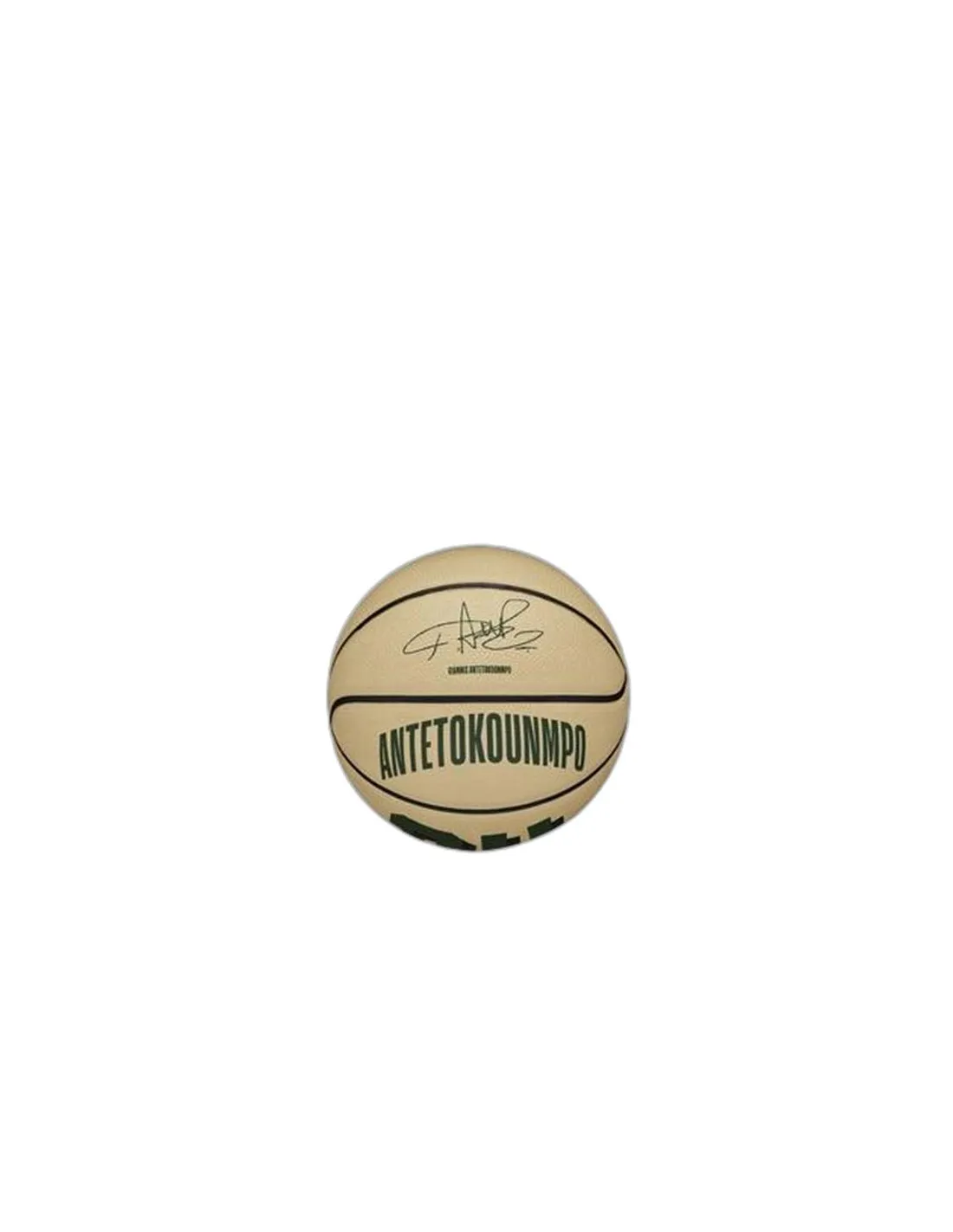 Balones de Baloncesto Wilson Nba Player Icon Mini Giannis Gre