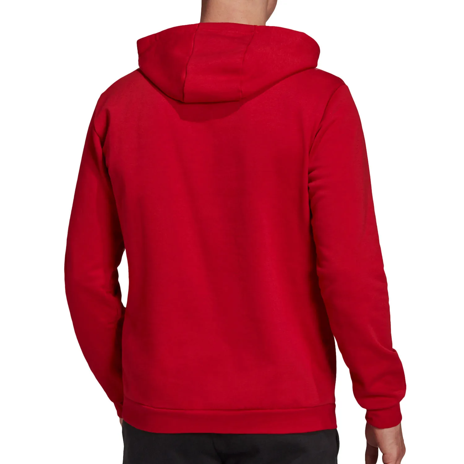 Sudadera adidas Entrada 22 Hoodie