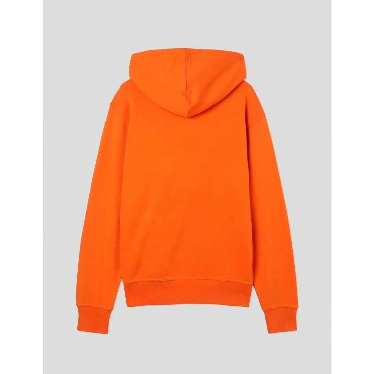 SUDADERA  MOUNT VISTA HOODIE BURNT ORANGE