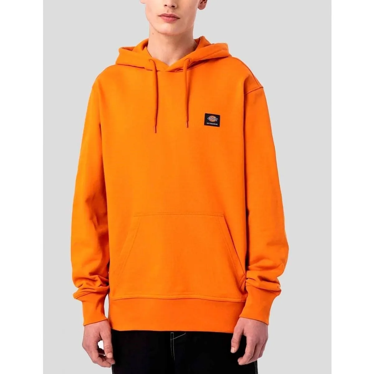 SUDADERA  MOUNT VISTA HOODIE BURNT ORANGE