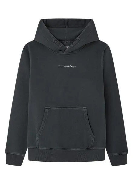 Sudadera Pepe Jeans New Davide Hoodie Gris Niño